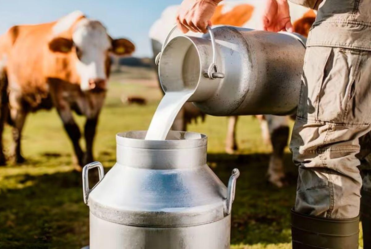 El Salvador es el nuevo mercado internacional al que Ecuador exportará leche fluida UHT | Ekosnegocios