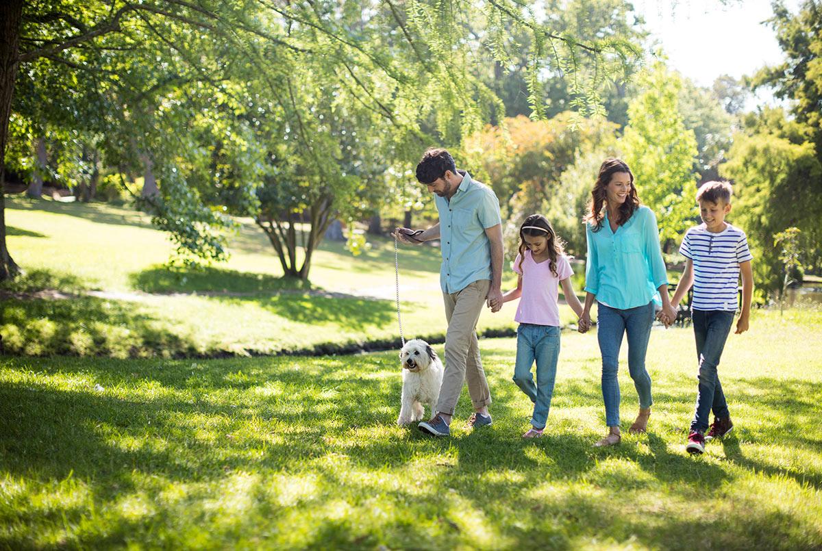 Счастливая семья бежит. Пикник на природе. Family in the park. Семья на прогулке в парке. Семья на пикнике размытый фон.