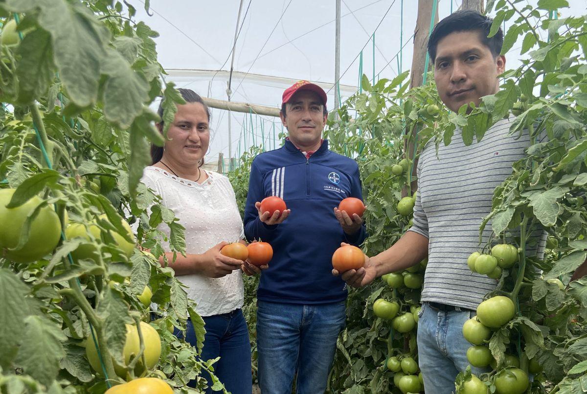 Sectores Rurales Más iniciativas para el desarrollo de los sectores rurales | Ekosnegocios