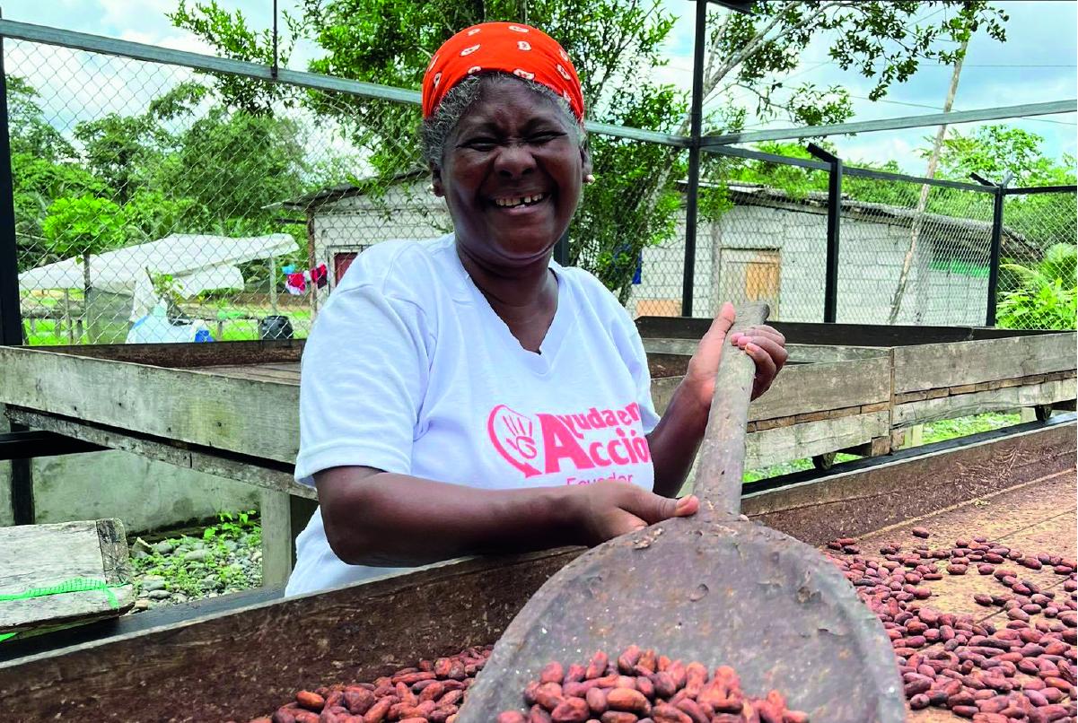Cacao ecuatoriano: oportunidad para fortalecer a los productores