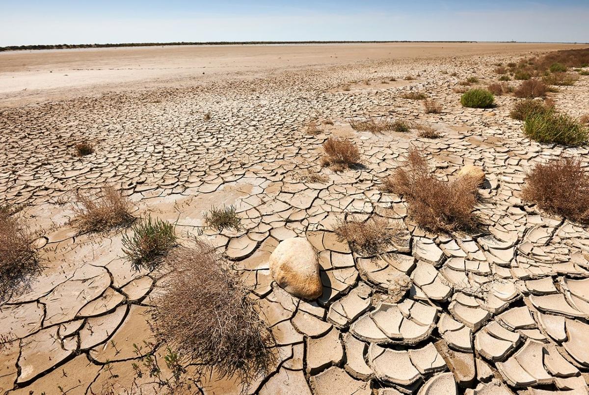 la-desertificaci-n-y-la-sequ-a-un-problema-que-afecta-a-todos