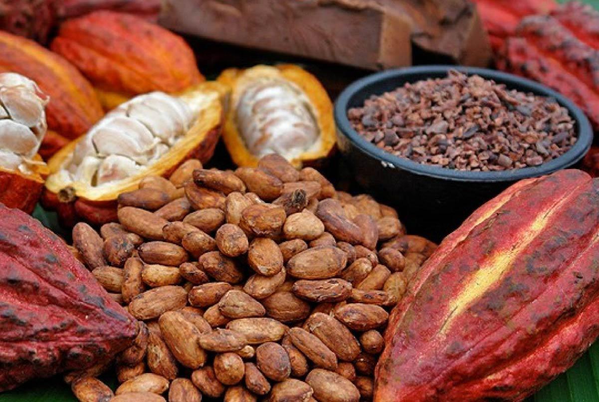 Ecuador se promociona como origen mundial del cacao