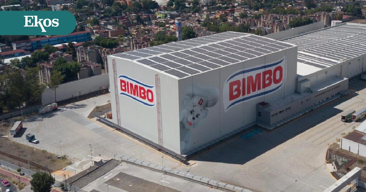 Bimbo: la pastelería familiar que se convirtió en la empresa de pan más