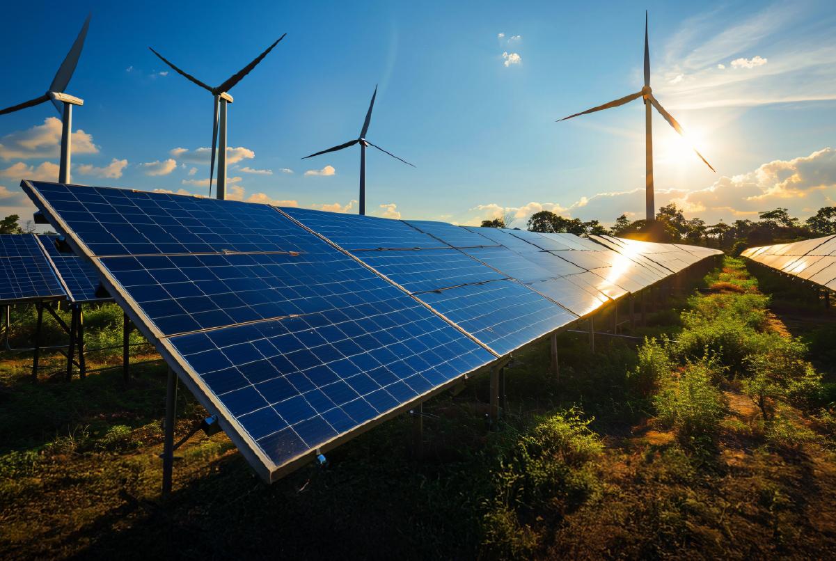 Por primera vez en la historia, las energías renovables generaron más ...