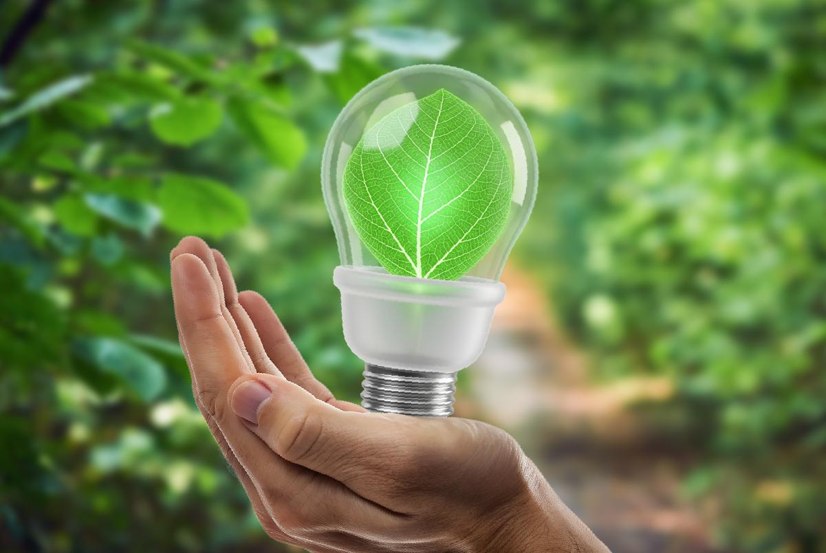 Día mundial del ahorro y uso eficiente de energía | Ekosnegocios