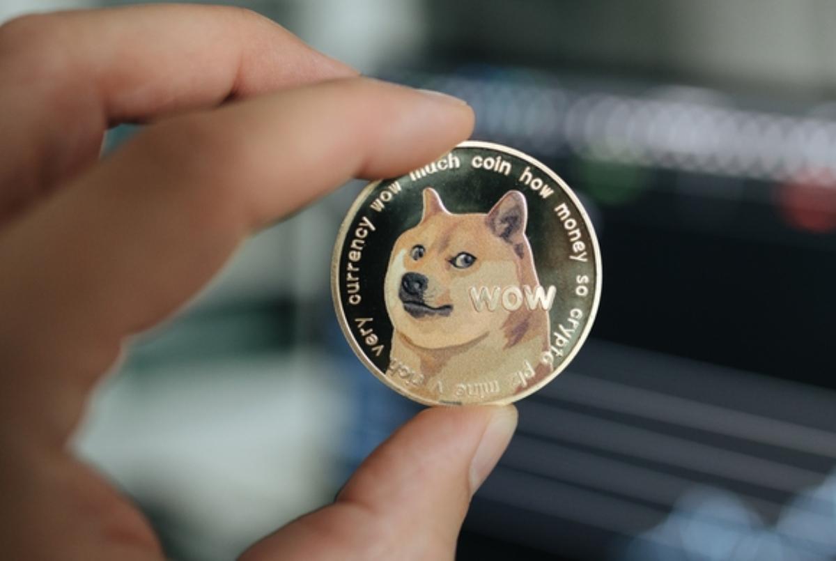 El valor de la criptomoneda Dogecoin 2.0 se dispara más de un 450% en las  últimas 24 horas | Ekosnegocios