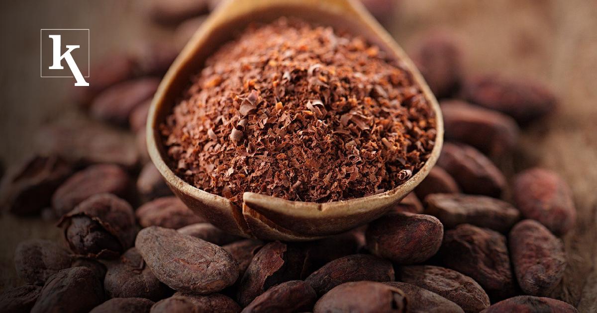 Ecuador produce el 65 del cacao fino de aroma del mundo Ekosnegocios